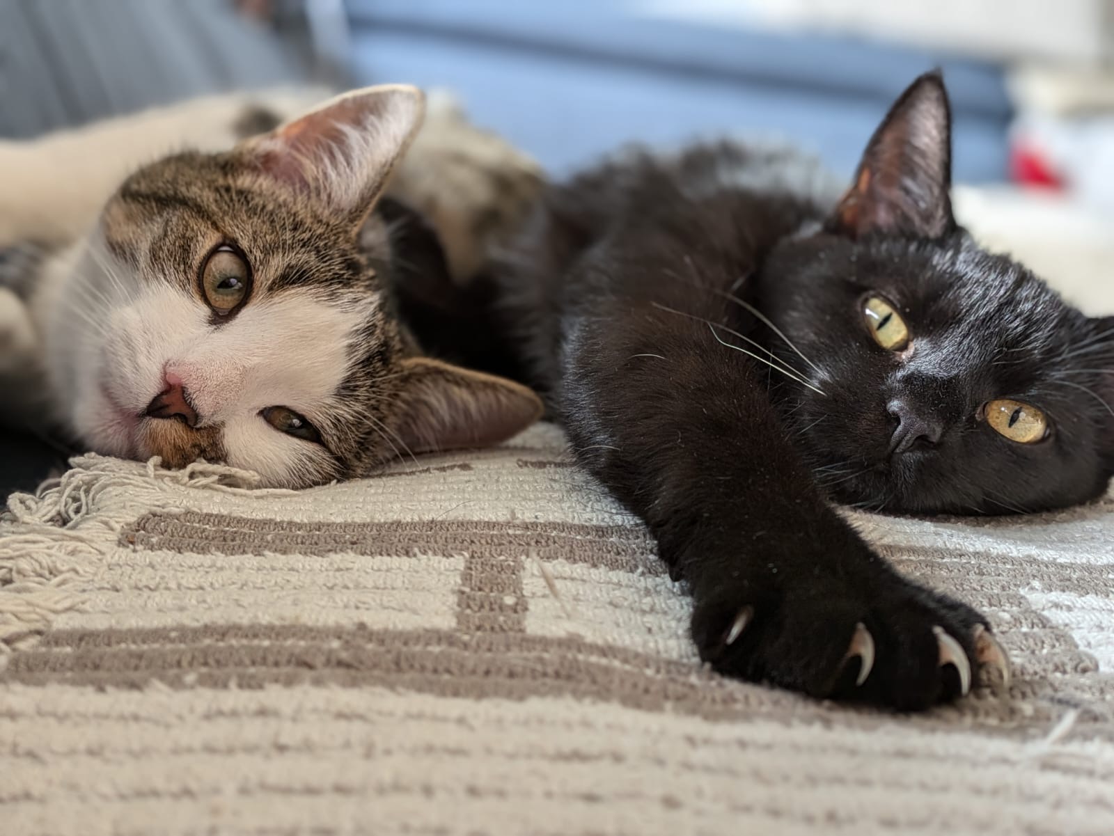 Gert & Esther