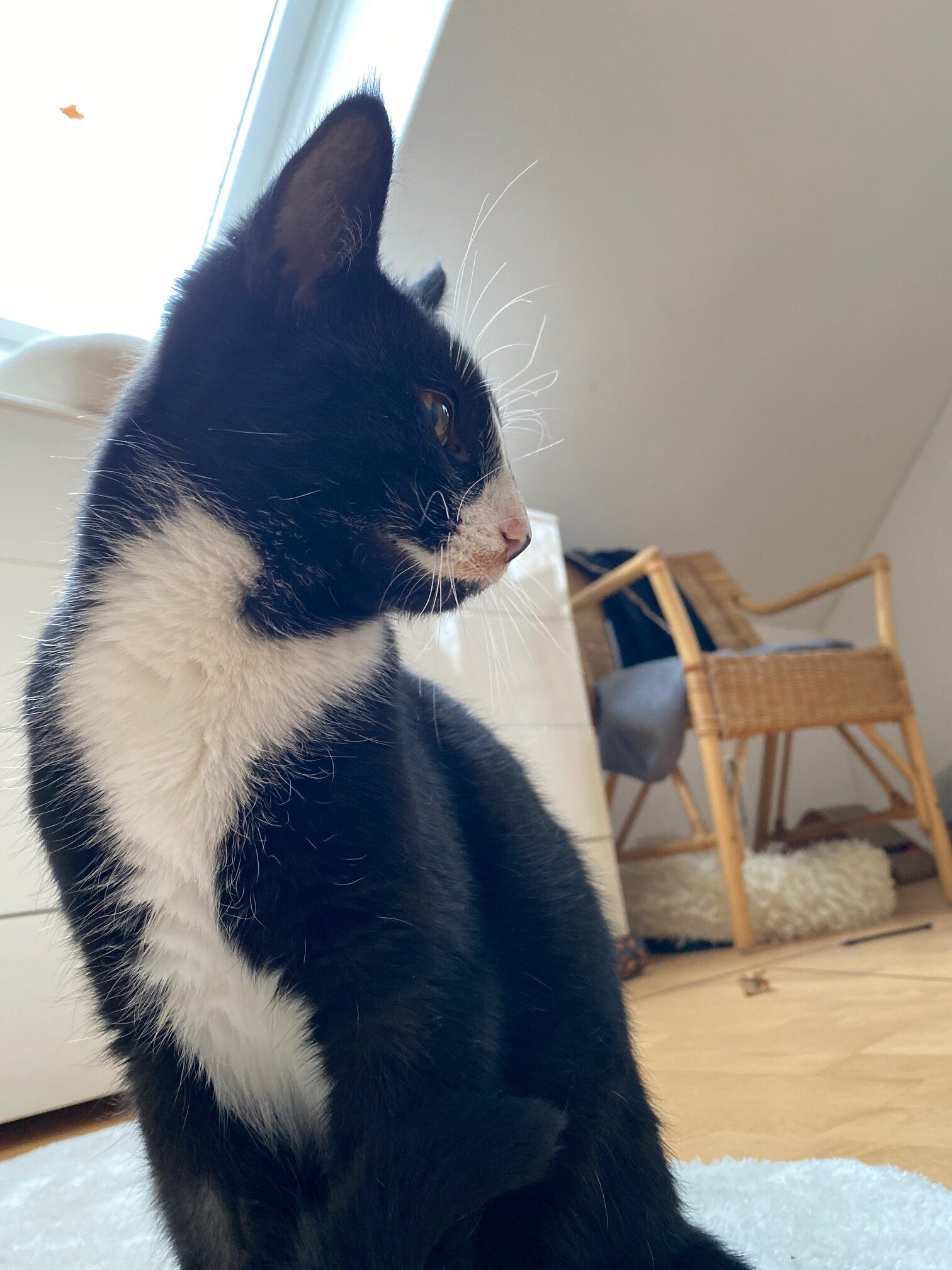 Max im Seitenprofil