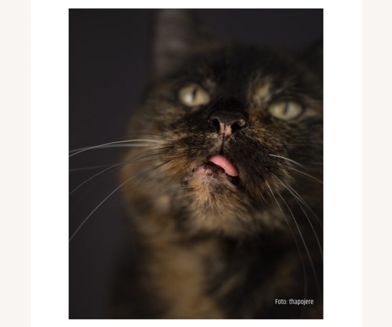 Ein schwerer Abschied