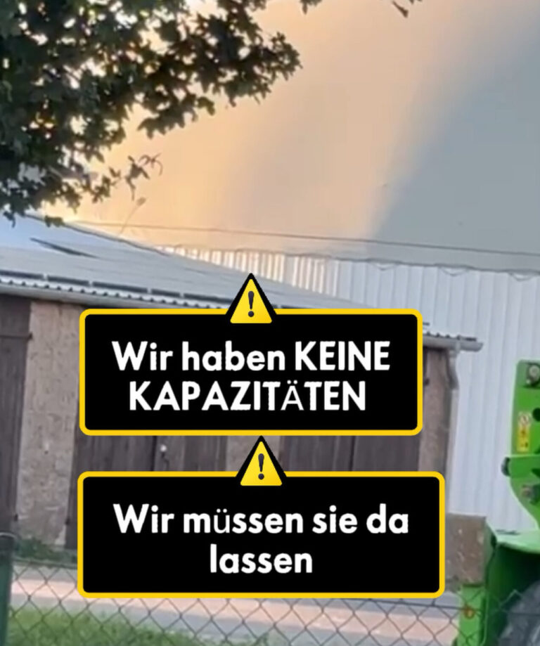 Wir haben KEIN Streunerproblem