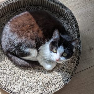 034e9b20-7452-41e2-9778-55575818cb9c