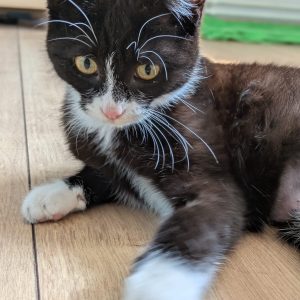 0fffe3ab-a2db-4bef-9463-0e04a8a2b04f