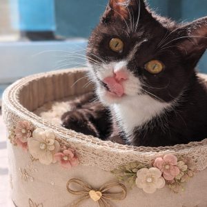 19953ea4-7481-4658-abb5-40c6545eba40