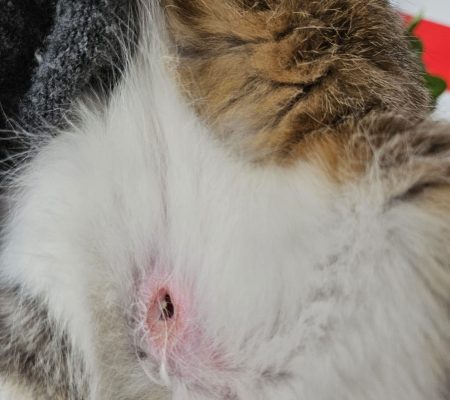 24775bda-a45e-4f9a-a917-f65312cd799c