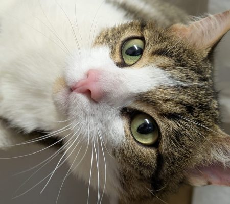 291e195a-d8c9-420e-b27e-f91da36e7c51