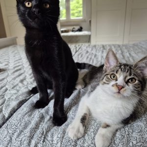 402d6608-3257-4f5b-90d8-9a6a5cfe11ce