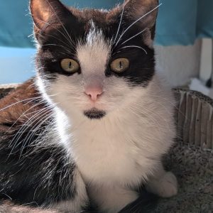 52f9896e-f64f-4e5f-9940-36aebe808490