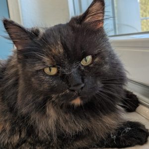 574555c0-32e6-41ff-96ef-6790231a7b40