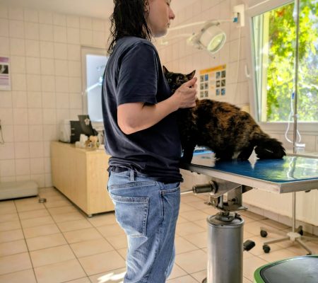 Minka beim Tierarzt