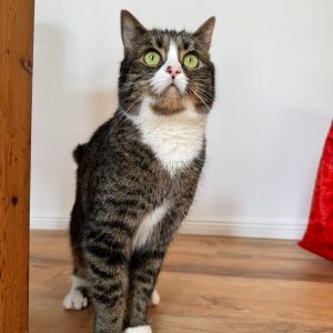 726ecc65-23b5-41cc-8771-a586c5f07b07