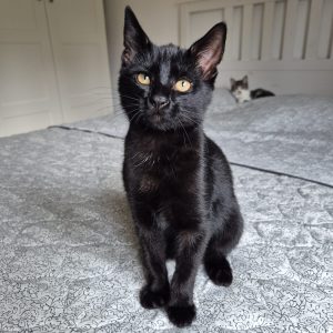 78981fc3-e2b9-4b30-8f33-f3fa5e1a57fb