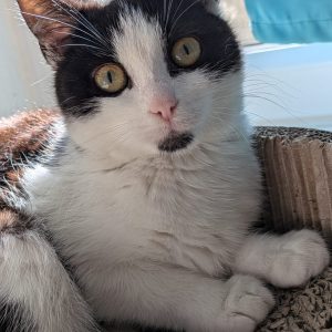 8879364d-2b3d-41d2-96dc-c0c9d7a11236