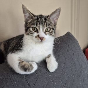 90b53231-e357-480e-bd8c-fbf25f1ba47c