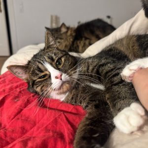 972eaaa4-5d9c-4bd6-93b7-e1c37da68918