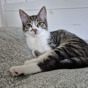 9c0883c4-2bdf-4be2-8279-da4e1b2a7ca1