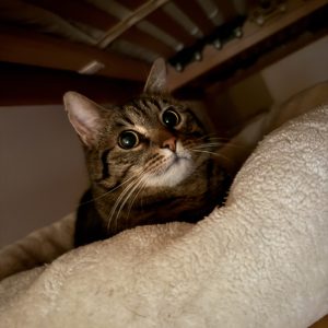 IMG_0605