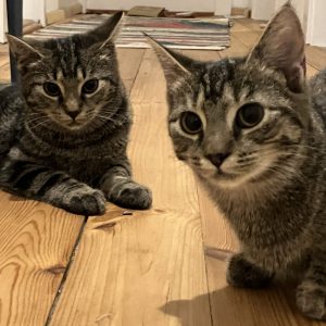 Wilma und Selma