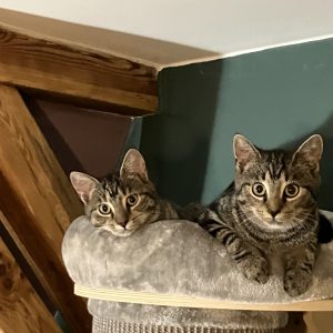 Wilma und Selma