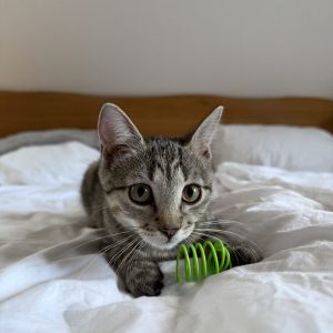 IMG_1926