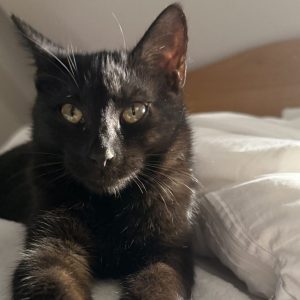 Missy