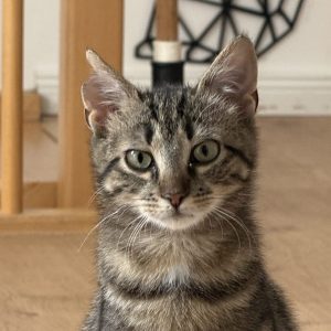 Pixel