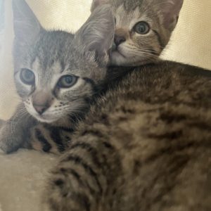 Lotte & Laura