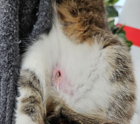 b7840619-959d-4375-aeab-39c0a2d7805f