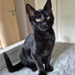 bb5af90f-8a7f-4e92-8b6f-64d3063146d0