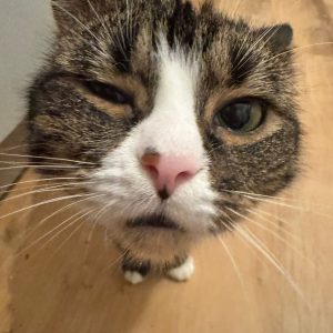 e3a07d08-e5c1-4efc-accf-fa651d6776eb